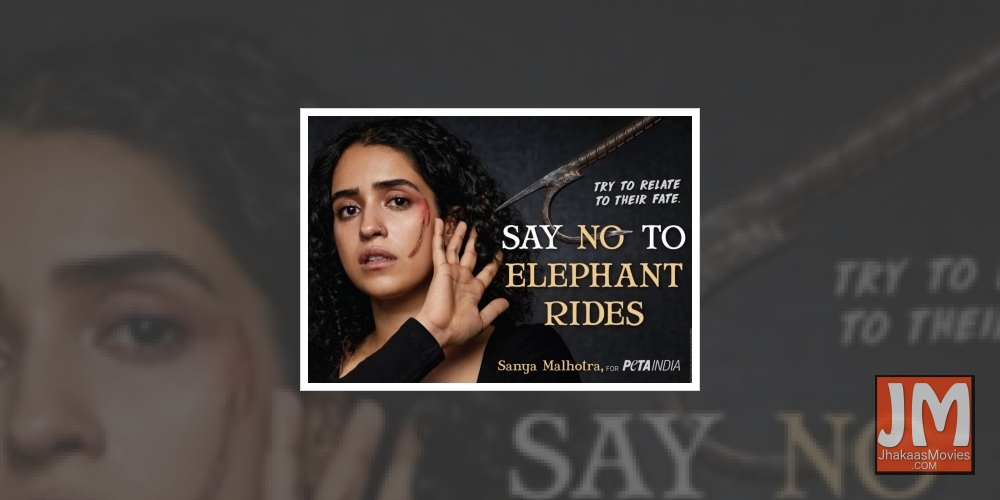 Sanya Malhotra joins forces with PETA India against elephant 'joyrides'.