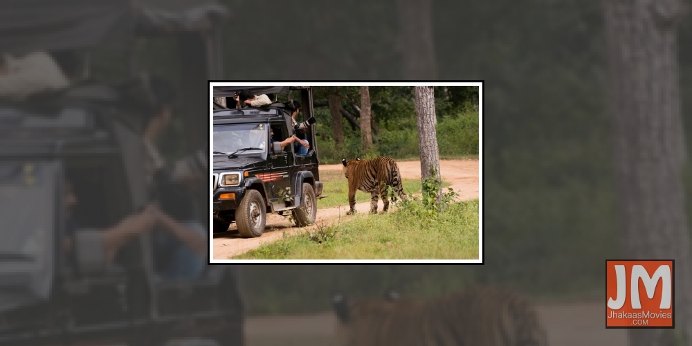 Dressing appropriately during a safari is crucial to enjoying it
