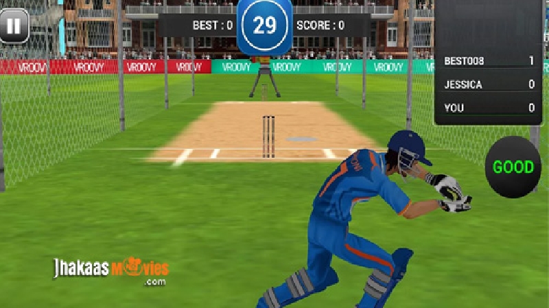 Wicket Keeping System