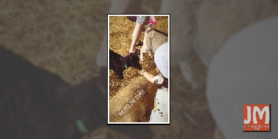 Soha-Kunal's daughter Inaaya feeds ponies, goats at farm