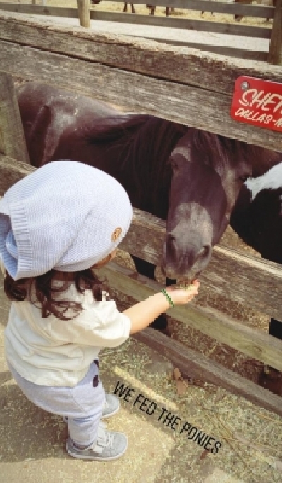 Actors Kunal Kemmu and Soha Ali Khan
