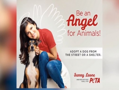 Actress Sunny Leone has recently launched a vegan campaign at the Lakme Fashion Week. In association with People for the Ethical Treatment of Animals (PETA), Sunny unveiled her new ad, which shows the actress