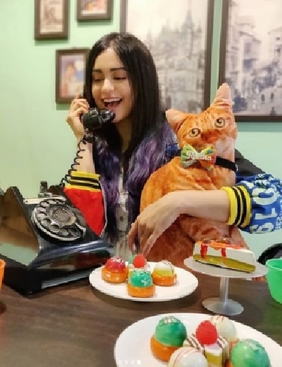 Actress Adah Sharma has a stuffed toy cat, which she has fondly named Radha. Adah has made an Instagram profile for the toy, which goes by the name 