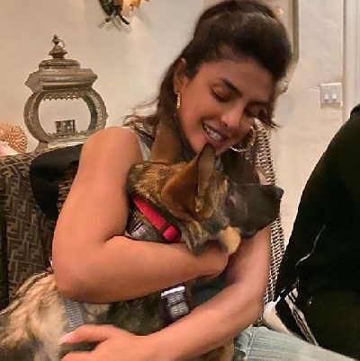 Priyanka 'Staying at home' during corona scare, spends time with dog Gino.