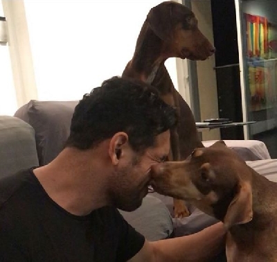 Bollywood hunk John Abraham has two furry babies, Sia and Bailey. The two have a profile "abraham_bailey"  and enjoy a fan following of over 15.1K. Their bio reads: "Hi, I'm Bailey and this is my baby girl Sia! I was adopted by my awesome parents and we all live together". Their profile currently has 141 posts.