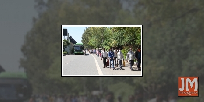 Lockdown binge guide: Switch on the Hollywood factor