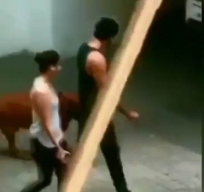 Have Alia and Ranbir moved in together? Video triggers rumours. (Photo credit: VIRAL BHAYANI)