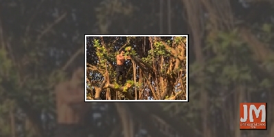 Vidyut Jammwal wows fans with tree-climbing skills