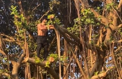 Vidyut Jammwal climbs tree.