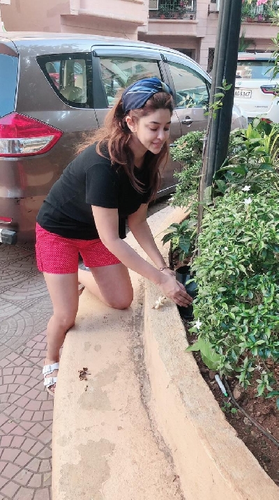 Lockdown diaries: Payal Ghosh learns gardening.