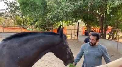 Salman Khan eats leaves for breakfast along with his horse, says it's 'damn good'.
