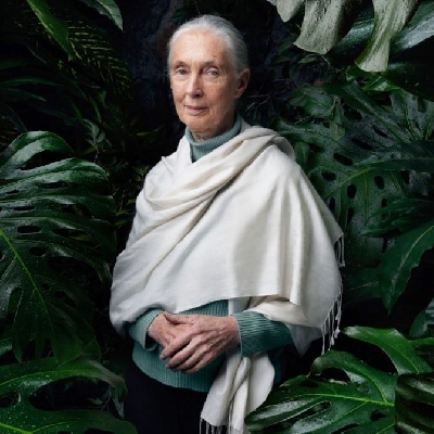 We've been disrespectful of nature: Jane Goodall on COVID-19. (Photo Courtesy: janegoodallinst/Instagram)