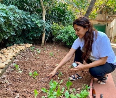 Lockdown diaries: Farmville time in B-Town!.