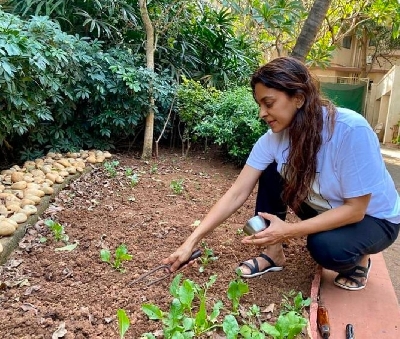 Lockdown diaries: Farmville time in B-Town!