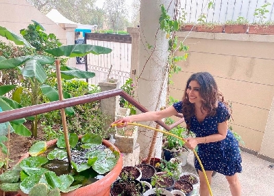 Lockdown diaries: Farmville time in B-Town!