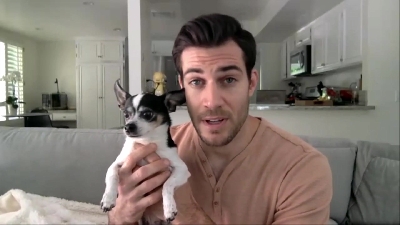 Dr Evan Antin Veterinarian.