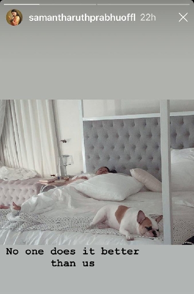 Samantha and her pet dog cannot be beaten in this job!.