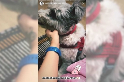 Trisha discovers a new 