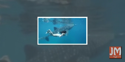 When Katrina Kaif went swimming with her 'most incredible friend'