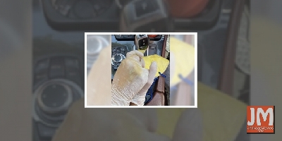 Raveena Tandon shares 'love in the time of corona'