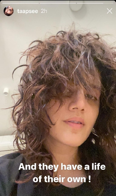 Taapsee Pannu shares her hair woes.