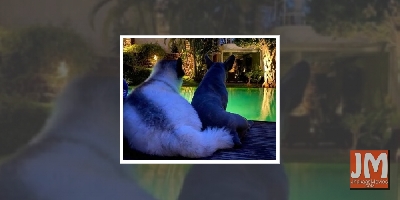 Samantha Akkineni misses being around her BFF