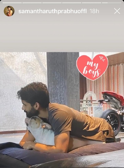 Samantha Akkineni shares snapshots of her 'boys'.