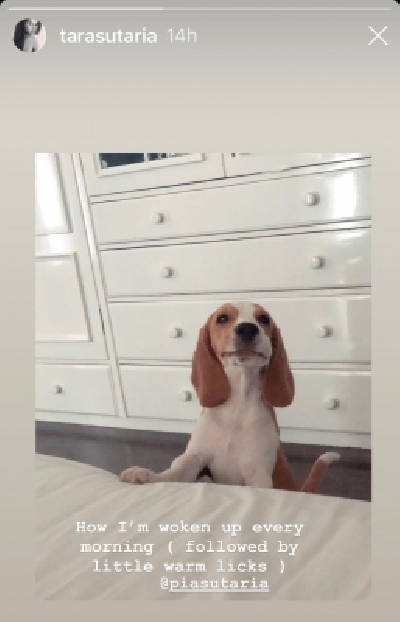 This is how Tara Sutaria wakes up every morning.