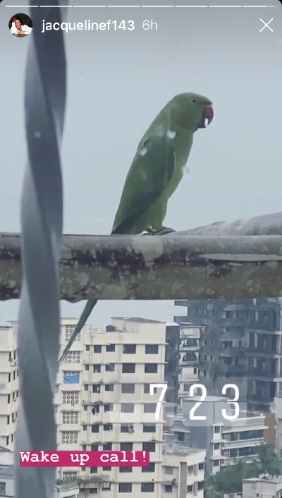 Jacqueline Fernandez. (Photo: Durga Chakravarty/IANS)