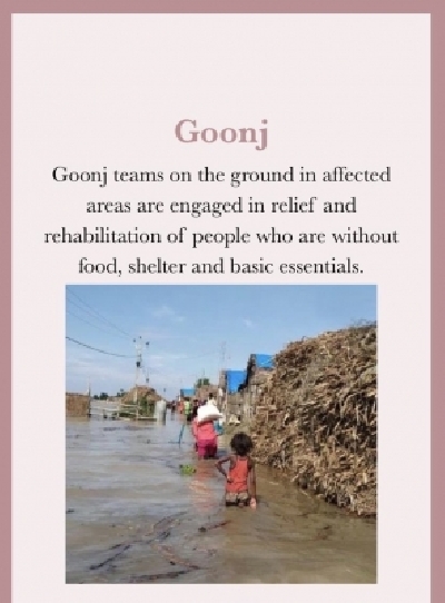 Priyanka Chopra, Nick Jonas donate to Bihar flood relief.