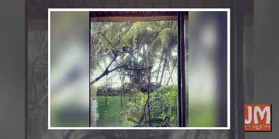 Twinkle Khanna discovers her 'world is filled with creatures'