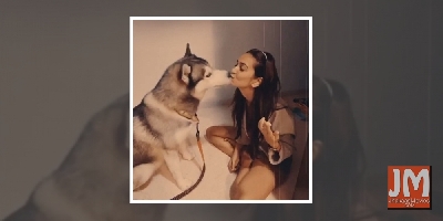 Kriti bakes birthday cake for Pulkit's pet husky Drogo