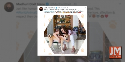 World Animal Day: Madhuri, husband extend support to furry friends