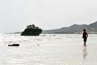 The Little Refugee to be screened at Sao Paolo film fest.