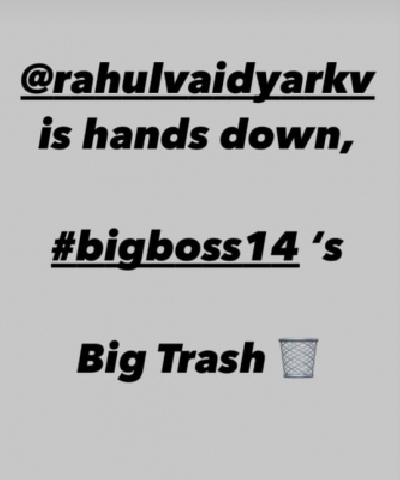 Bigg Boss 14: Rahul Vaidya is 