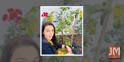 Preity Zinta is back to 'ghar ki kheti'