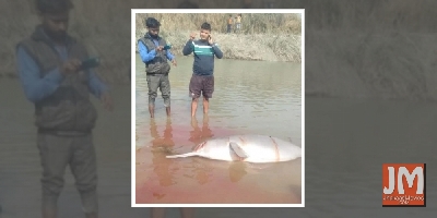 B-Town shocked by video of dophin being beaten; Police say arrests have been made