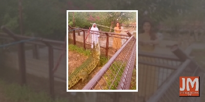 Urvashi Rautela hits 34mn mark on Insta, posts crocodile video to thank fans