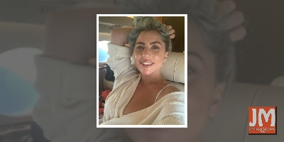 Lady Gaga's dog-walker attacked, two bulldogs stolen