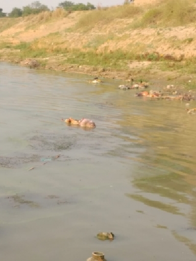 B-Town reacts with shock over dead bodies floating in Ganga