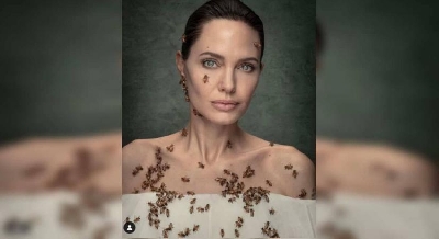 Angelina Jolie's 'bee' story.(photo:IANSLIFE)