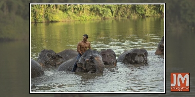 Junglee Teaser Release: Exciting Family Adventure Film