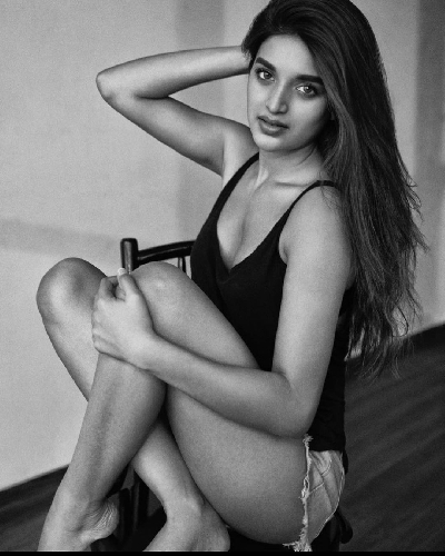 Nidhhi Agerwal.(photo:Instagram)