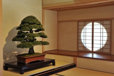 Omiya Bonsai Art Museum