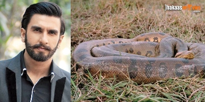 Ranveer Singh Reveals His 'Size'