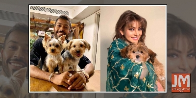 Did Hardik Pandya gift Urvashi Rautela a puppy?